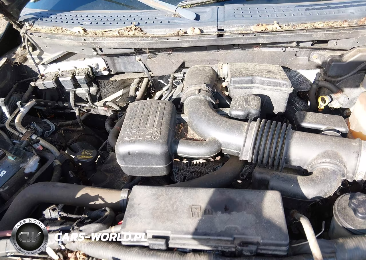 2010 Ford F-150 Fx4-Lariat-Xl-Xlt VIN:1FTFX1EV2AFD47425 - 10