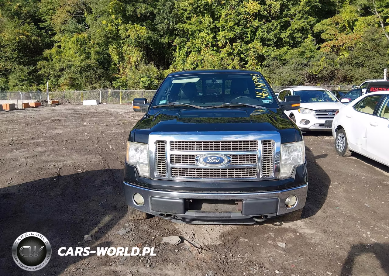 2010 Ford F-150 Fx4-Lariat-Xl-Xlt VIN:1FTFX1EV2AFD47425 - 12