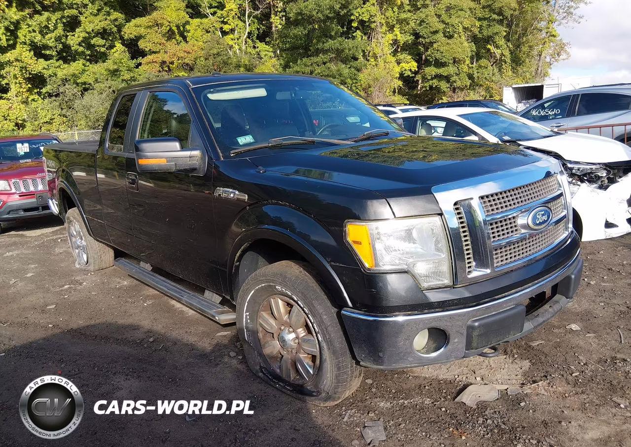 2010 Ford F-150 Fx4-Lariat-Xl-Xlt VIN:1FTFX1EV2AFD47425 - 13