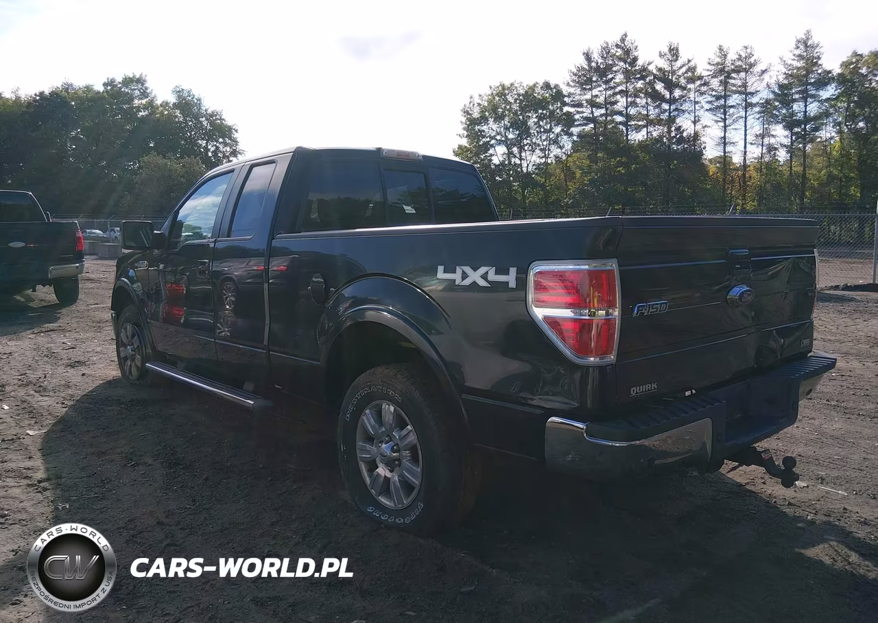2010 Ford F-150 Fx4-Lariat-Xl-Xlt VIN:1FTFX1EV2AFD47425 - 14