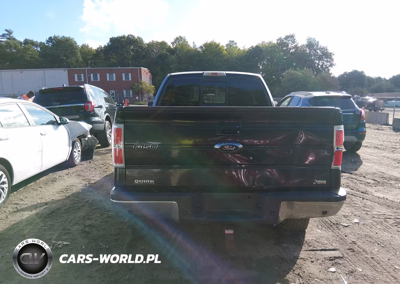 2010 Ford F-150 Fx4-Lariat-Xl-Xlt VIN:1FTFX1EV2AFD47425 - 16