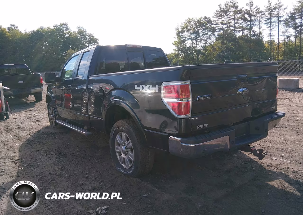2010 Ford F-150 Fx4-Lariat-Xl-Xlt VIN:1FTFX1EV2AFD47425 - 3