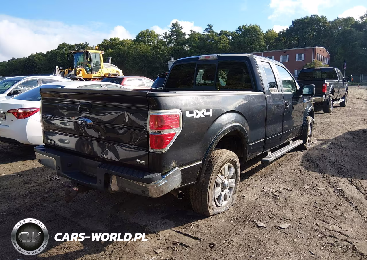2010 Ford F-150 Fx4-Lariat-Xl-Xlt VIN:1FTFX1EV2AFD47425 - 4
