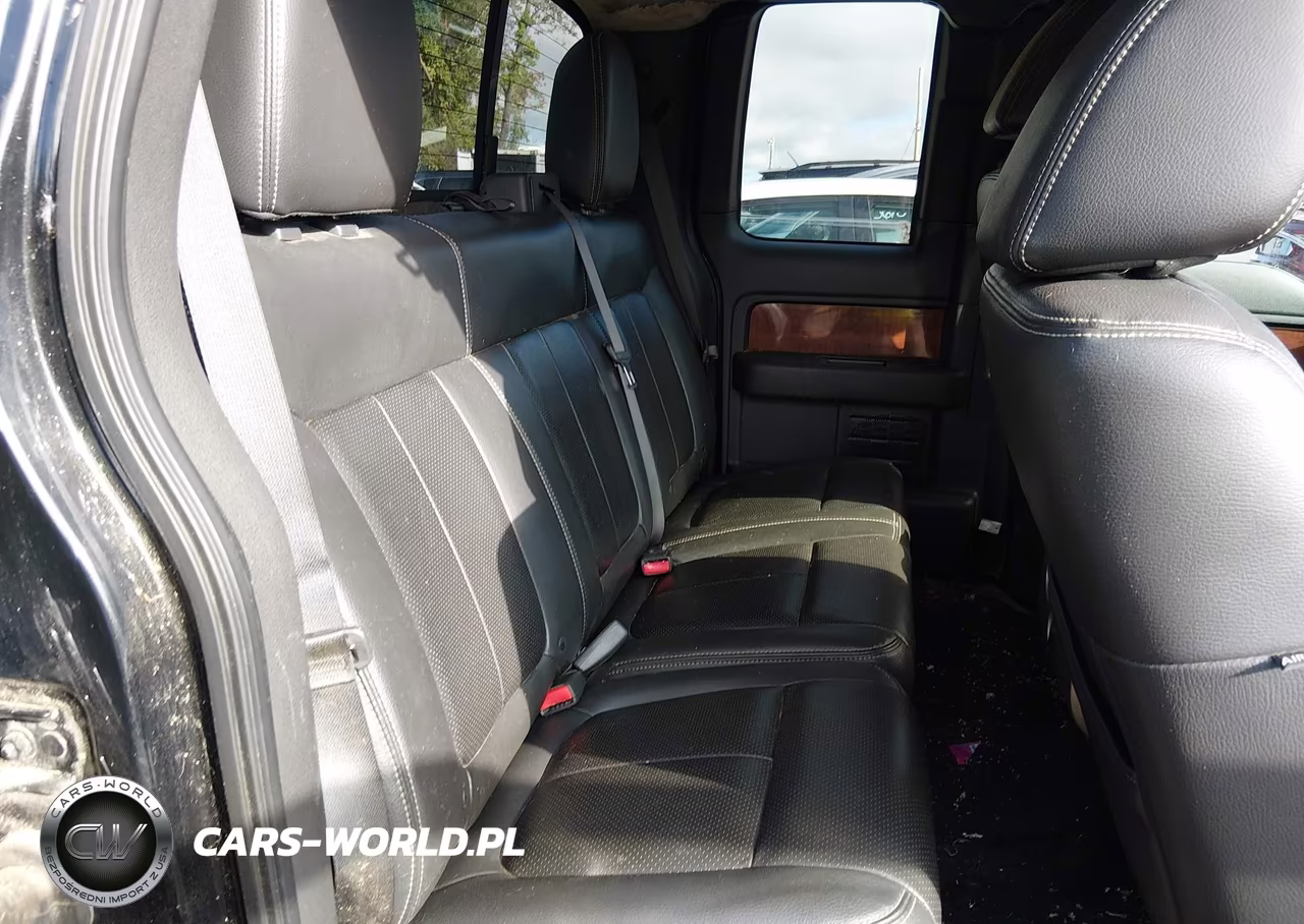 2010 Ford F-150 Fx4-Lariat-Xl-Xlt VIN:1FTFX1EV2AFD47425 - 8