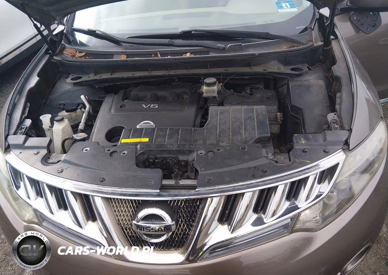 2009 Nissan Murano Le VIN:JN8AZ18WX9W120315 - 10