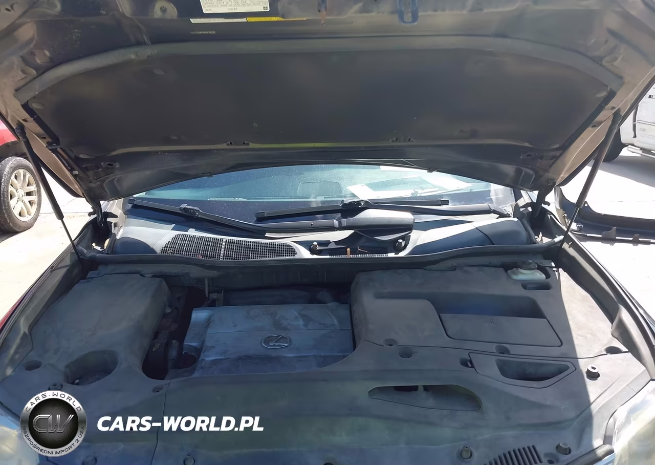 2012 Lexus Rx 350 VIN:2T2BK1BAXCC137712 - 10