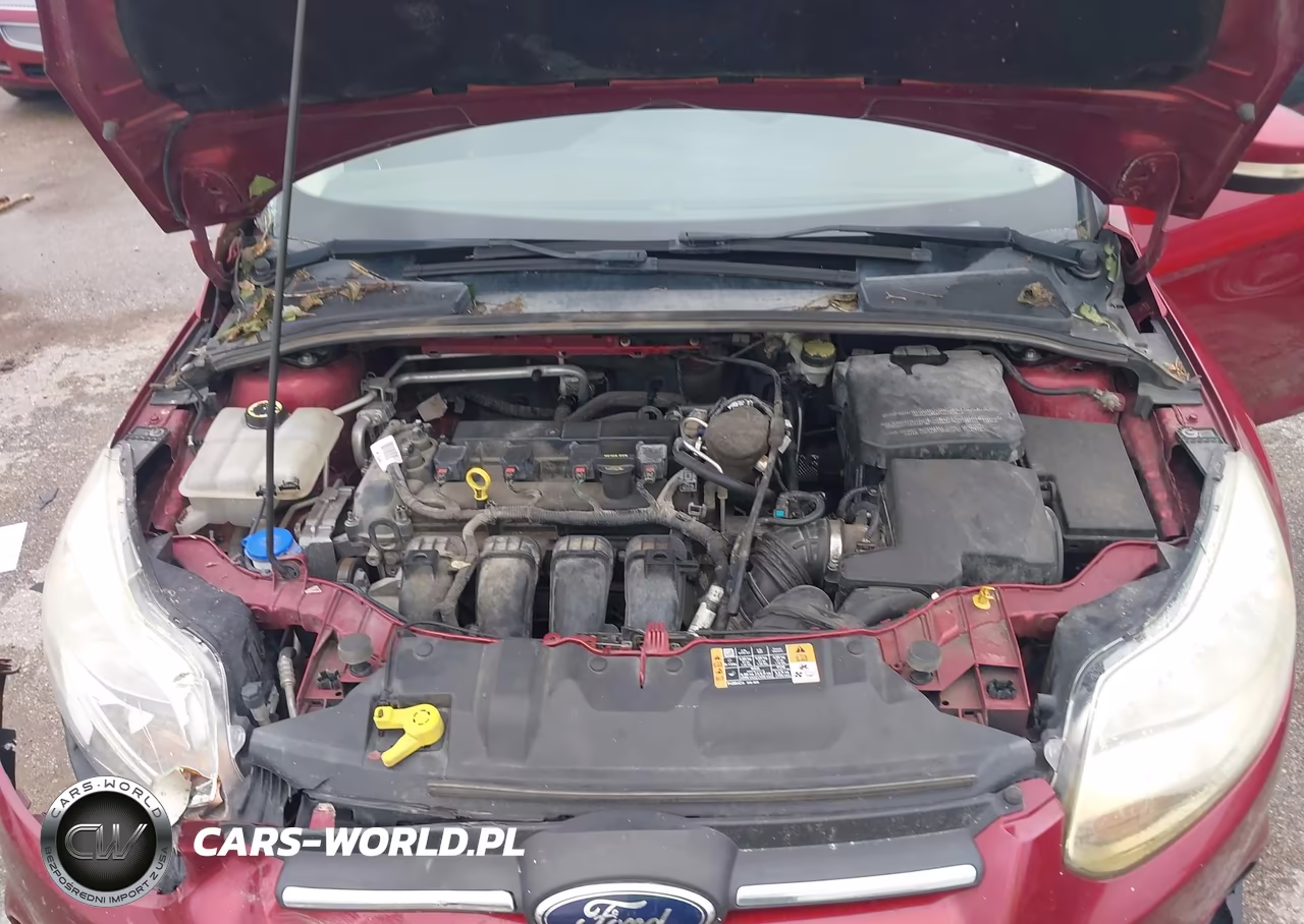 2014 Ford Focus Se VIN:1FADP3F26EL373448 - 10