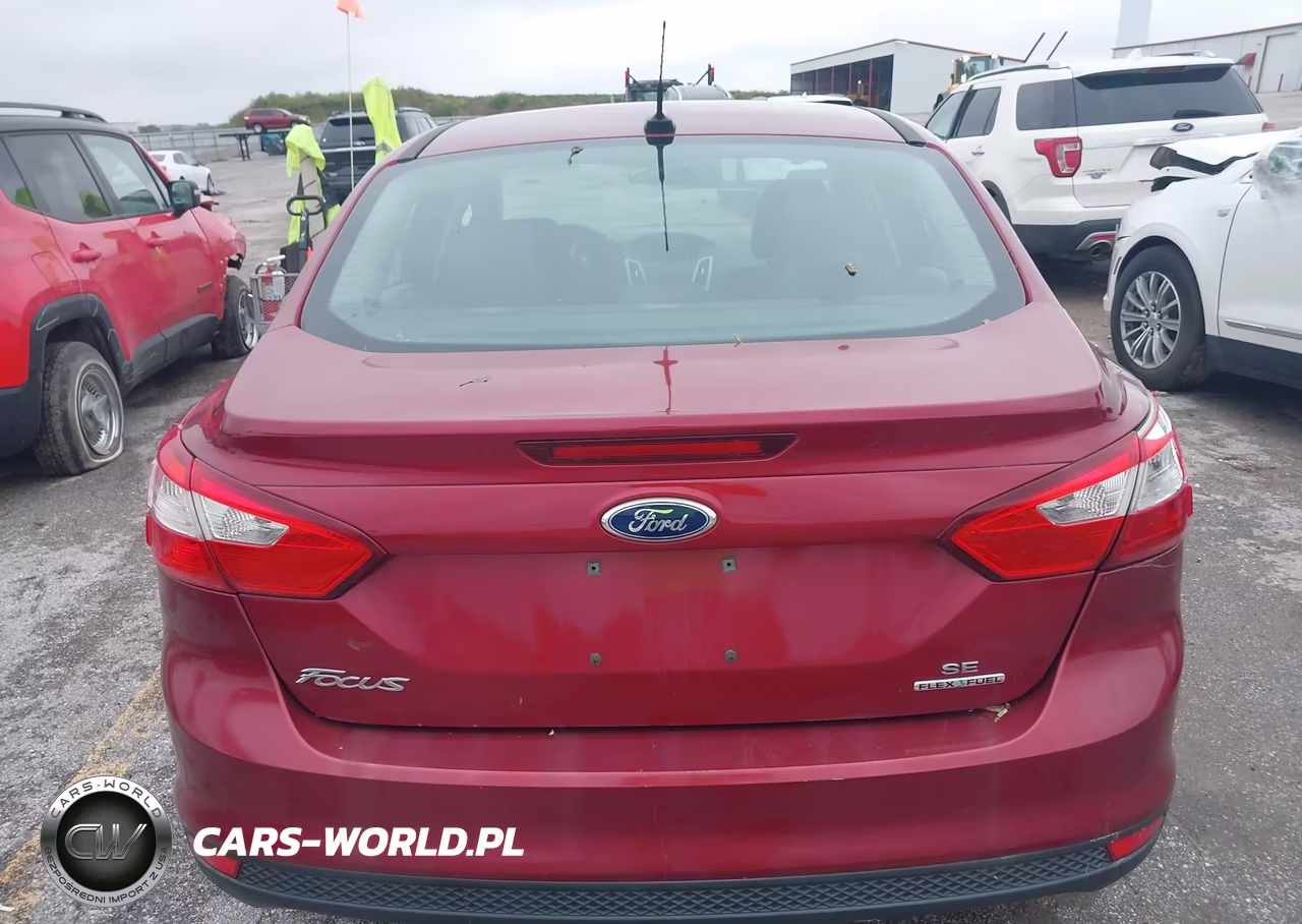 2014 Ford Focus Se VIN:1FADP3F26EL373448 - 16