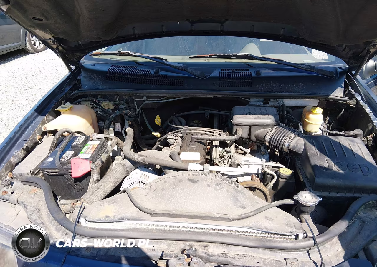 2004 Jeep Grand Cherokee Laredo VIN:1J4GW48SX4C165630 - 10