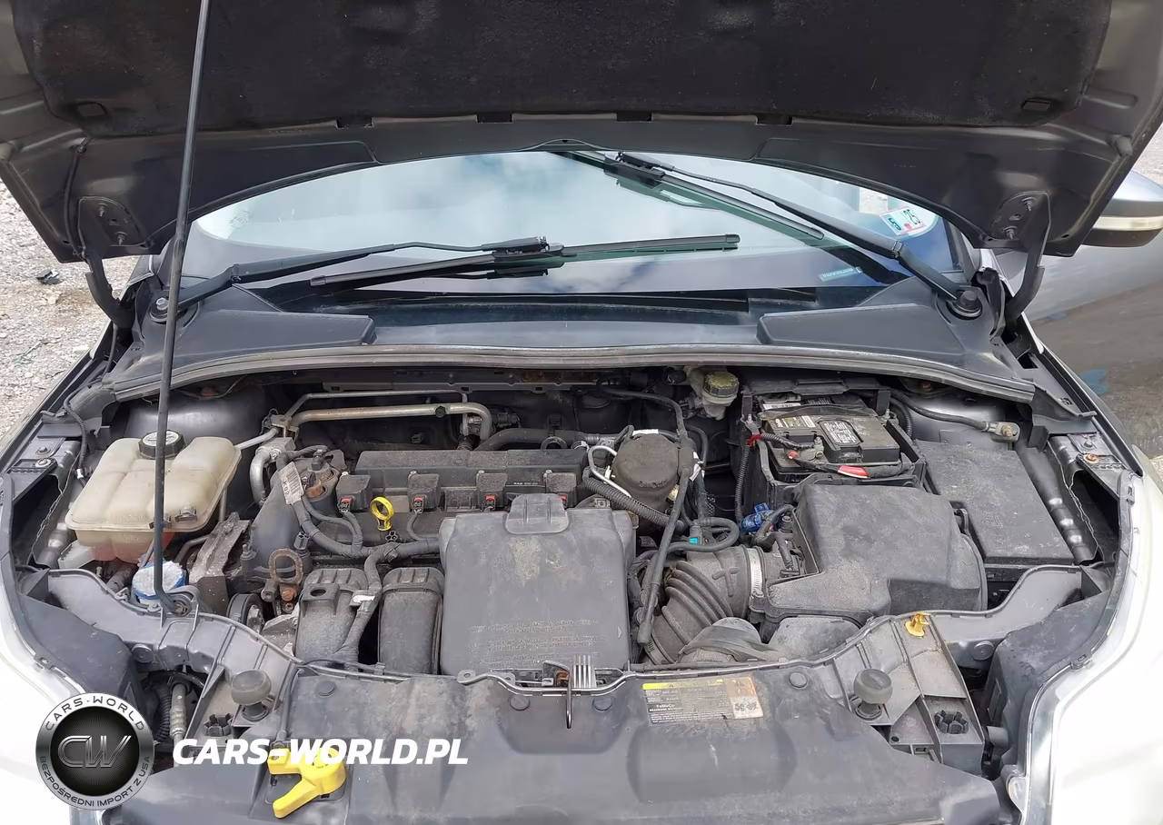2013 Ford Focus Se VIN:1FADP3F29DL242495 - 10