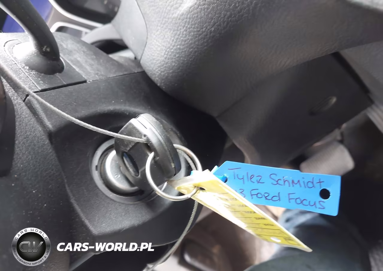 2013 Ford Focus Se VIN:1FADP3F29DL242495 - 11