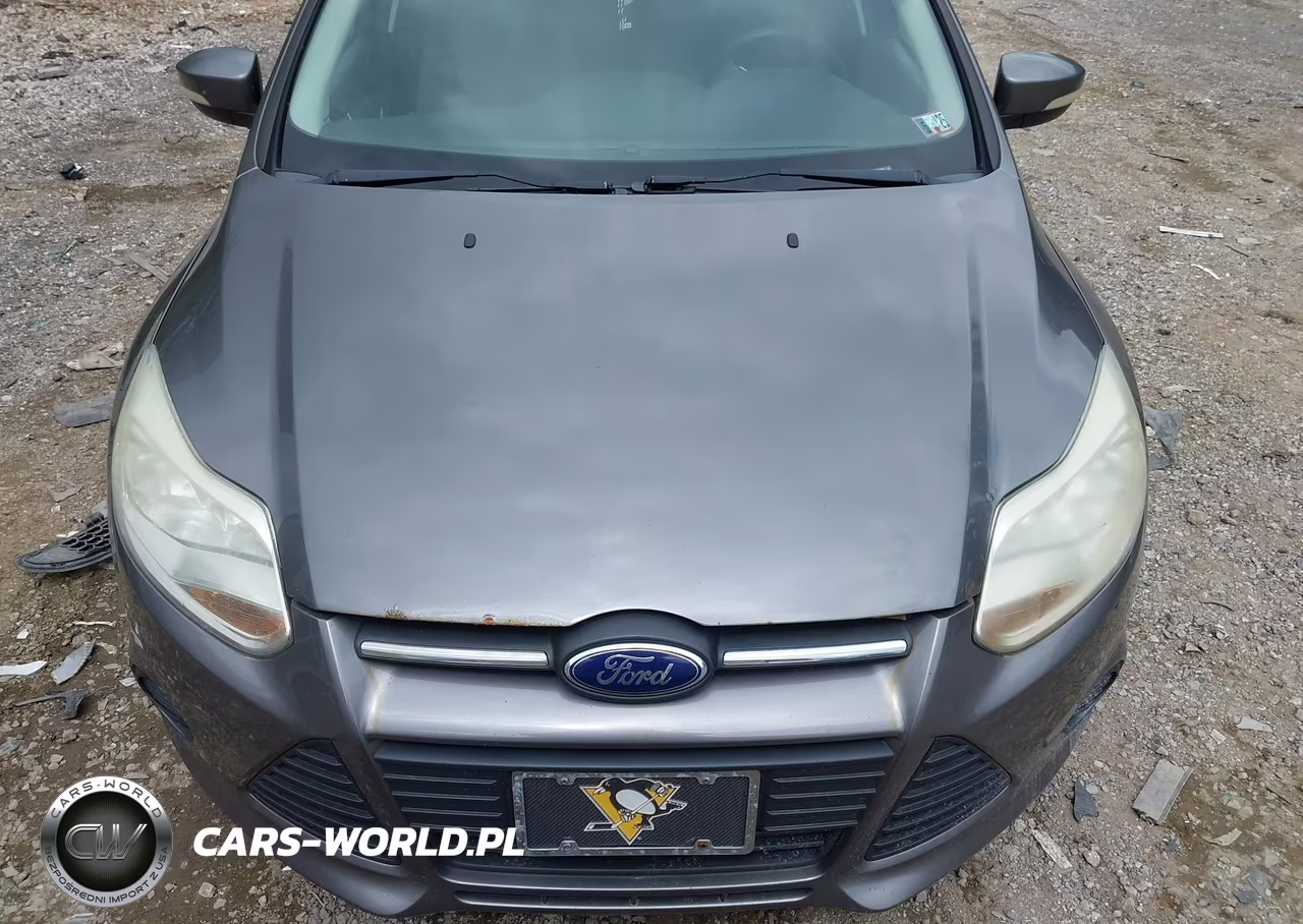2013 Ford Focus Se VIN:1FADP3F29DL242495 - 12