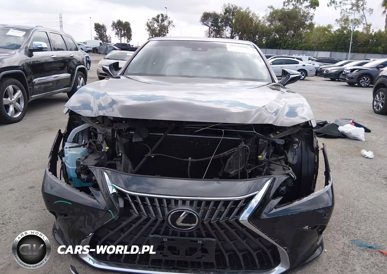 2022 Lexus Es 350 VIN:58ADZ1B1XNU119410 - 12