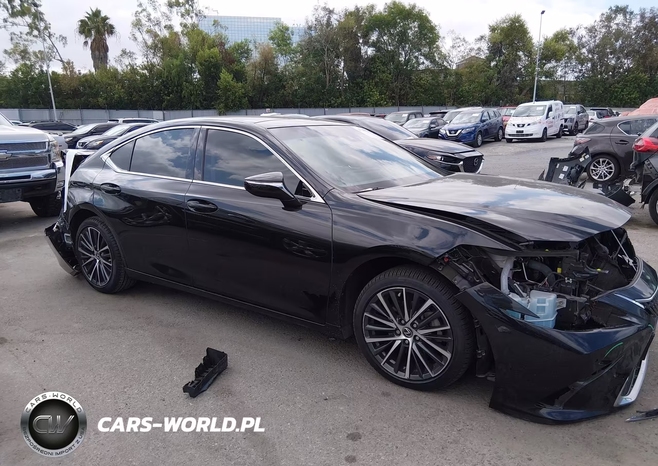 2022 Lexus Es 350 VIN:58ADZ1B1XNU119410 - 13