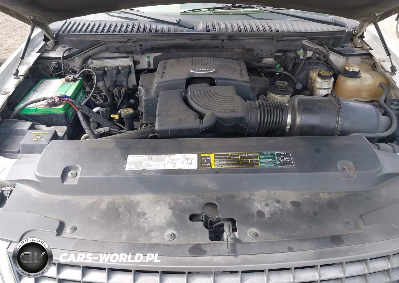 2004 Ford Expedition Nbx-Xlt VIN:1FMPU16L74LB73993 - 10