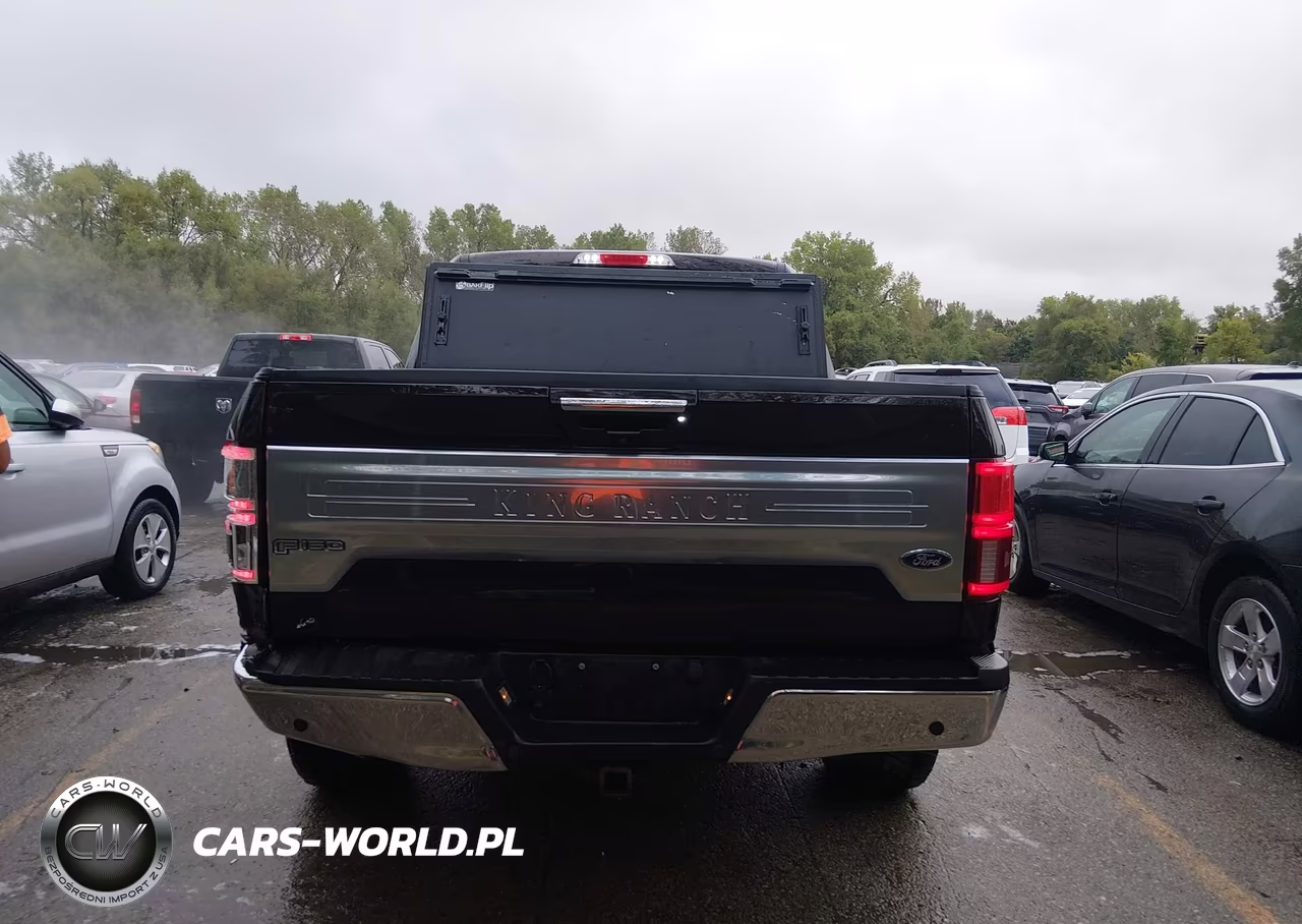 2019 Ford F-150 King Ranch VIN:1FTEW1E40KFB81350 - 16