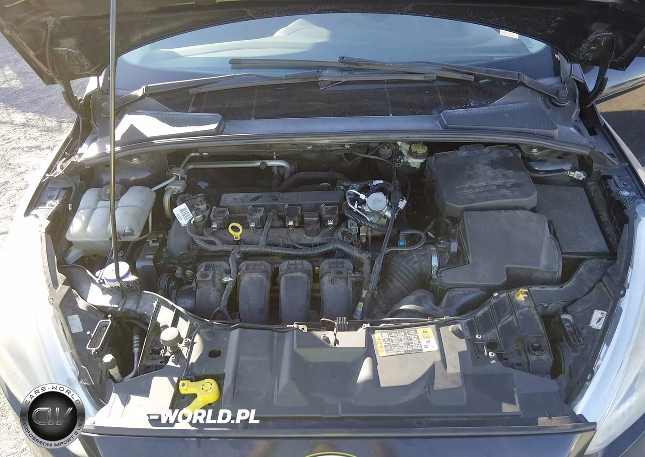 2016 Ford Focus Se VIN:1FADP3F22GL362837 - 10
