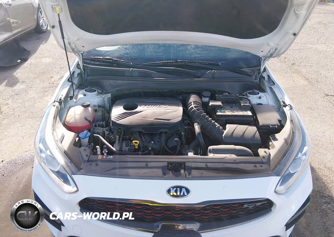 2021 Kia Forte Gt VIN:3KPF44AC7ME413724 - 10