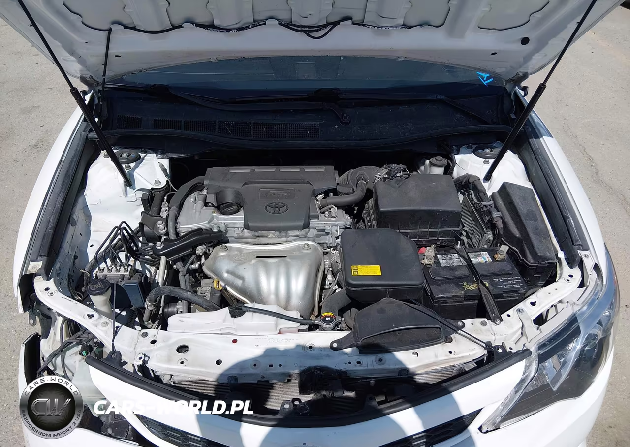2014 Toyota Camry Se VIN:4T1BF1FK3EU387709 - 10