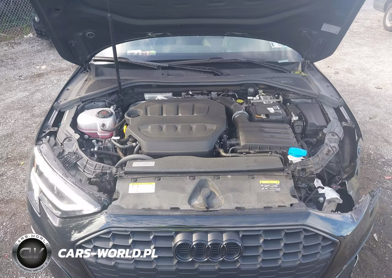 2023 Audi A3 Premium Plus 40 Tfsi Quattro S Tronic VIN:WAUHUDGY3PA015765 - 10
