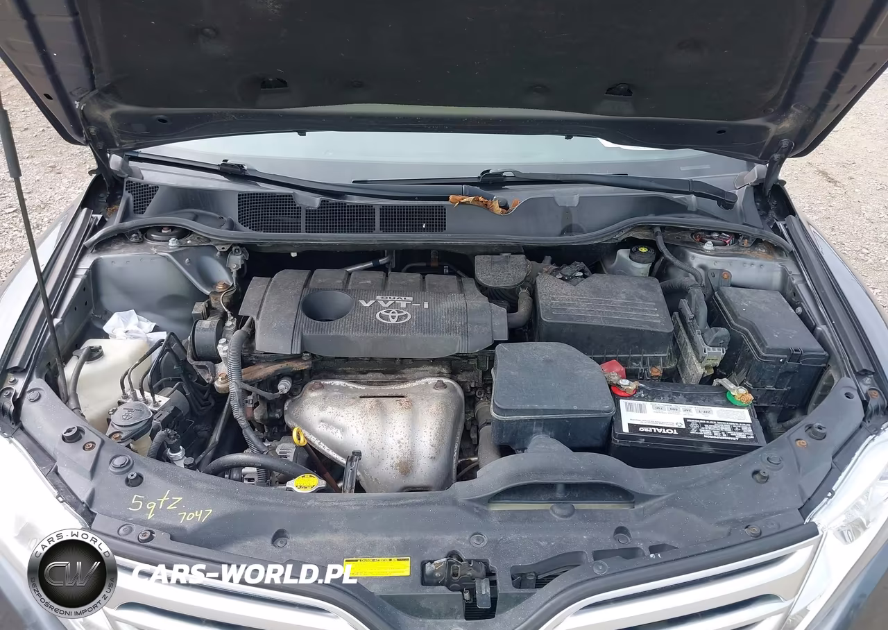 2009 Toyota Venza VIN:4T3BE11AX9U003570 - 10