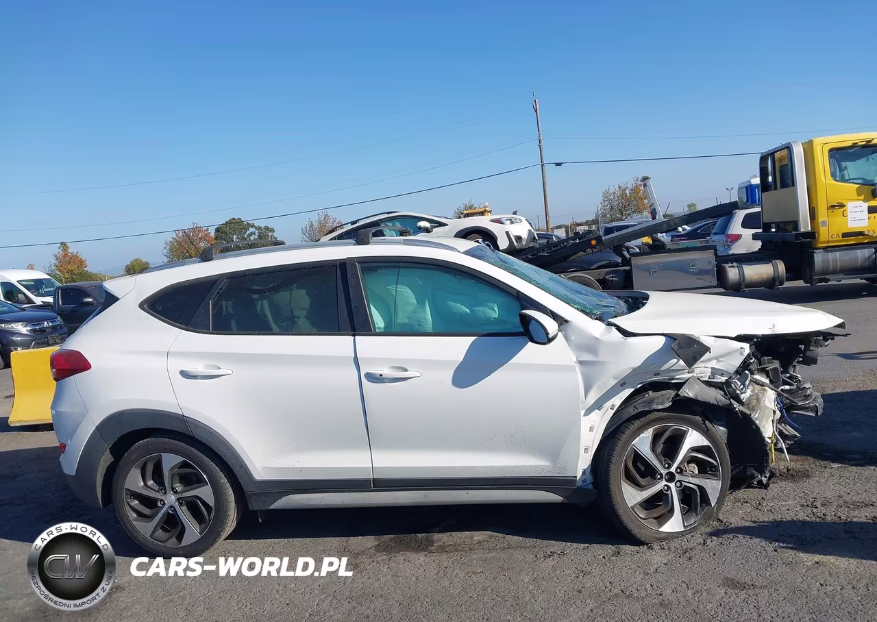 2017 Hyundai Tucson Sport VIN:KM8J33A29HU469844 - 13