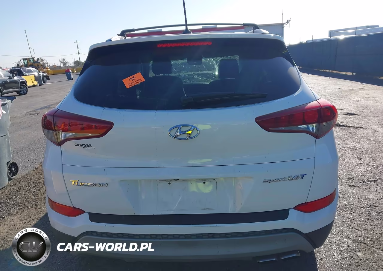 2017 Hyundai Tucson Sport VIN:KM8J33A29HU469844 - 16