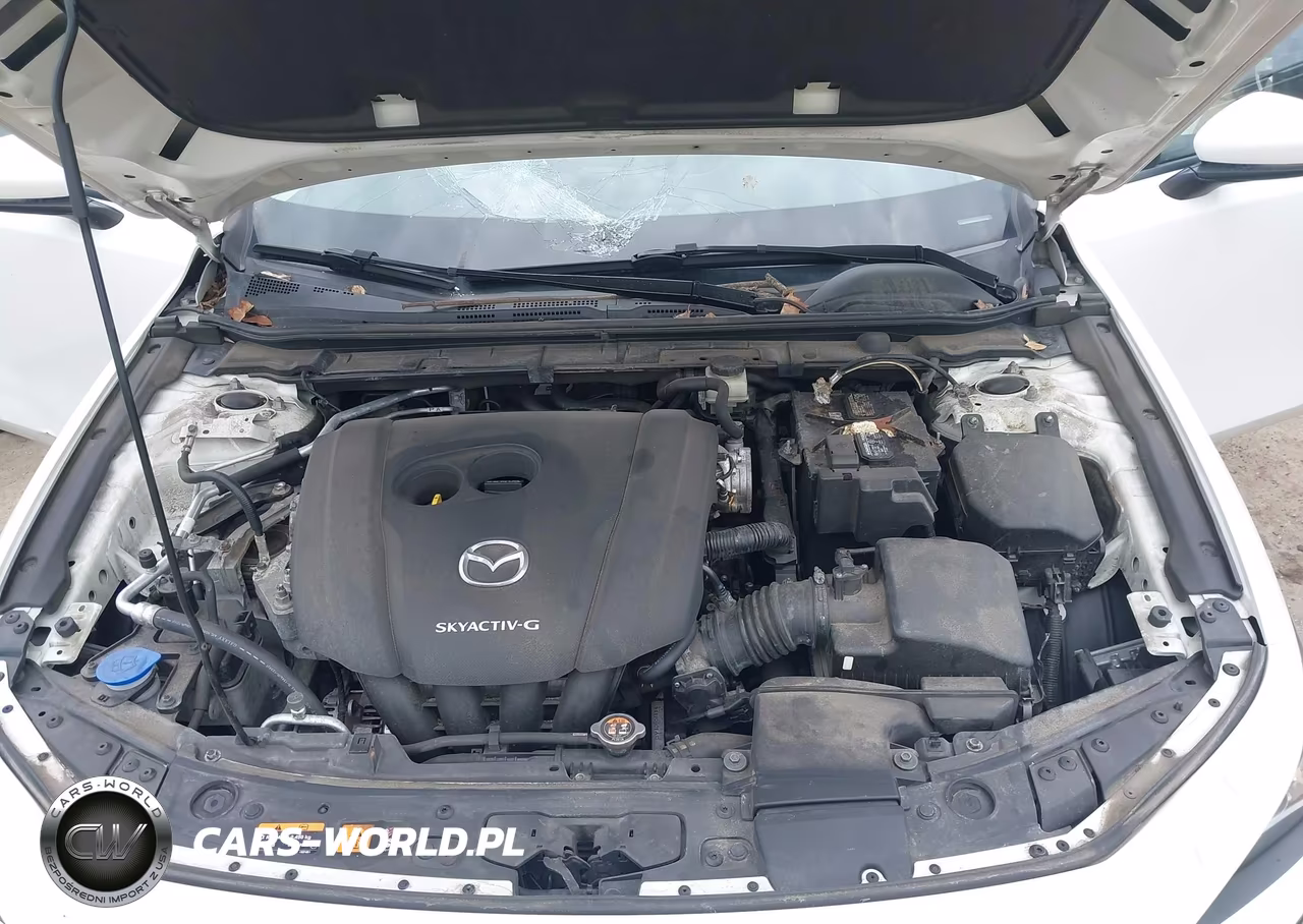2019 Mazda Mazda3 Select Package VIN:JM1BPBAM7K1116388 - 10
