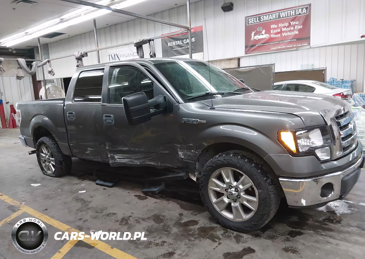 2010 Ford F-150 Fx2 Sport-Xl-Xlt VIN:1FTEW1C80AFB20679 - 13
