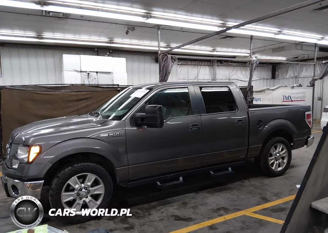 2010 Ford F-150 Fx2 Sport-Xl-Xlt VIN:1FTEW1C80AFB20679 - 14