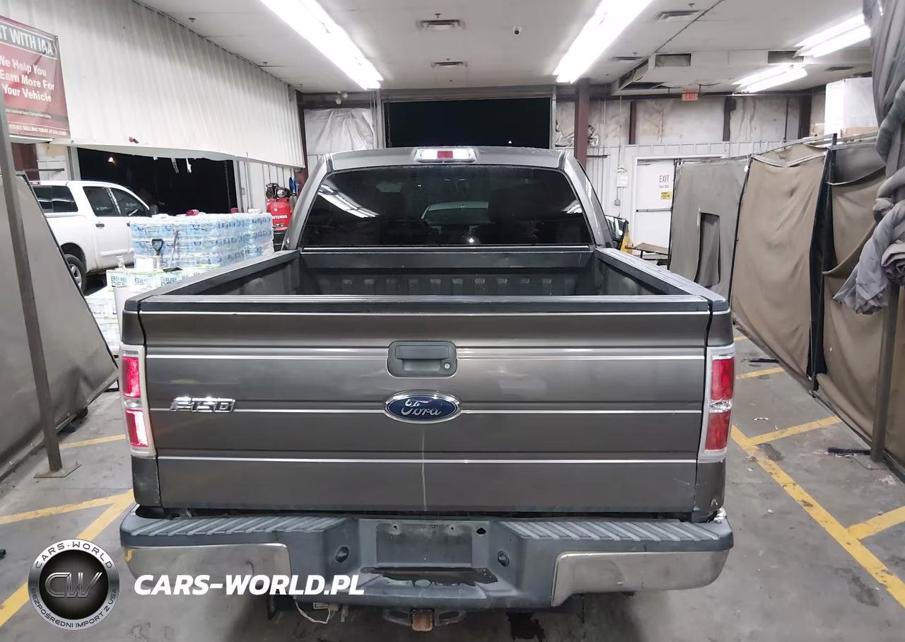 2010 Ford F-150 Fx2 Sport-Xl-Xlt VIN:1FTEW1C80AFB20679 - 16
