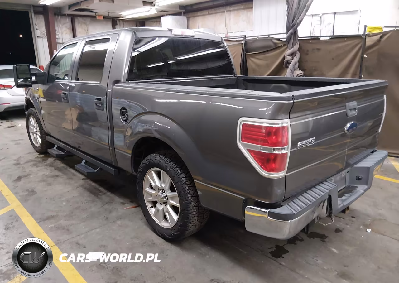 2010 Ford F-150 Fx2 Sport-Xl-Xlt VIN:1FTEW1C80AFB20679 - 3