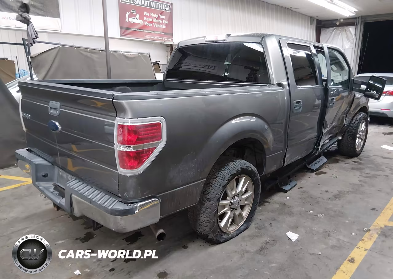 2010 Ford F-150 Fx2 Sport-Xl-Xlt VIN:1FTEW1C80AFB20679 - 4