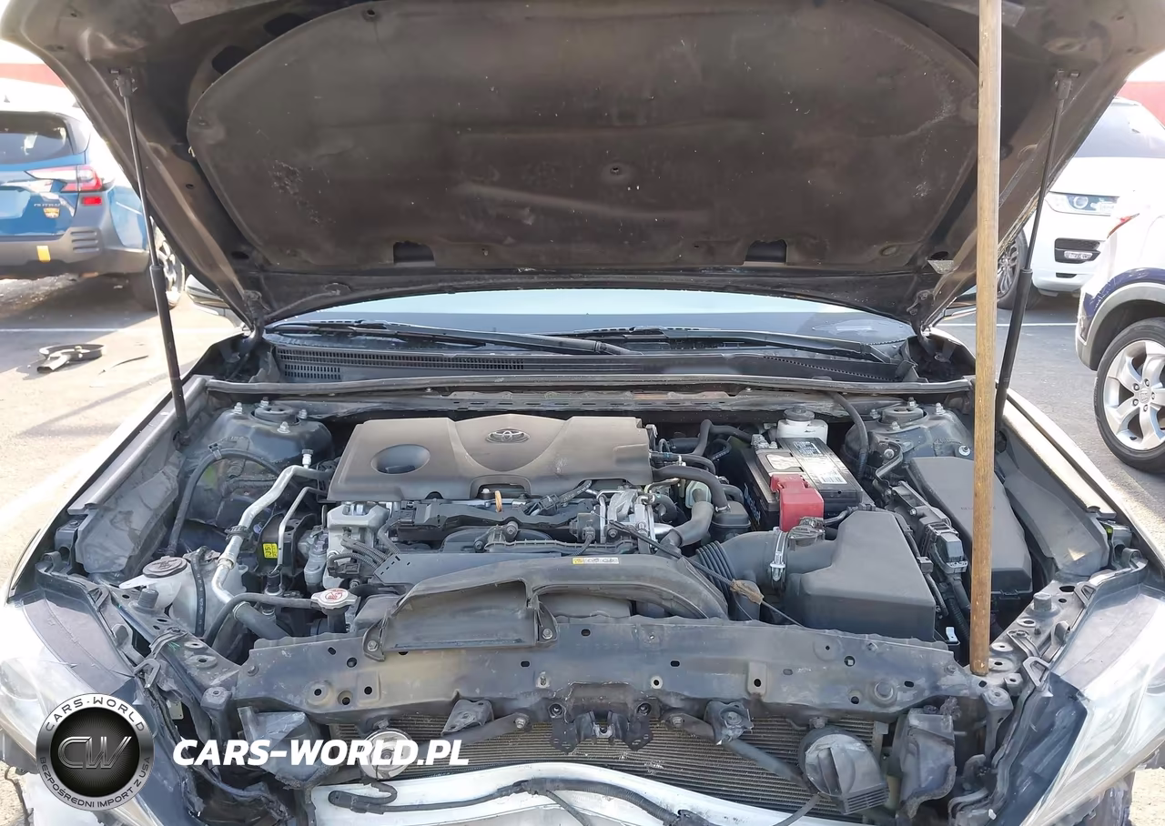 2019 Toyota Camry Xse VIN:4T1B61HK3KU194341 - 10