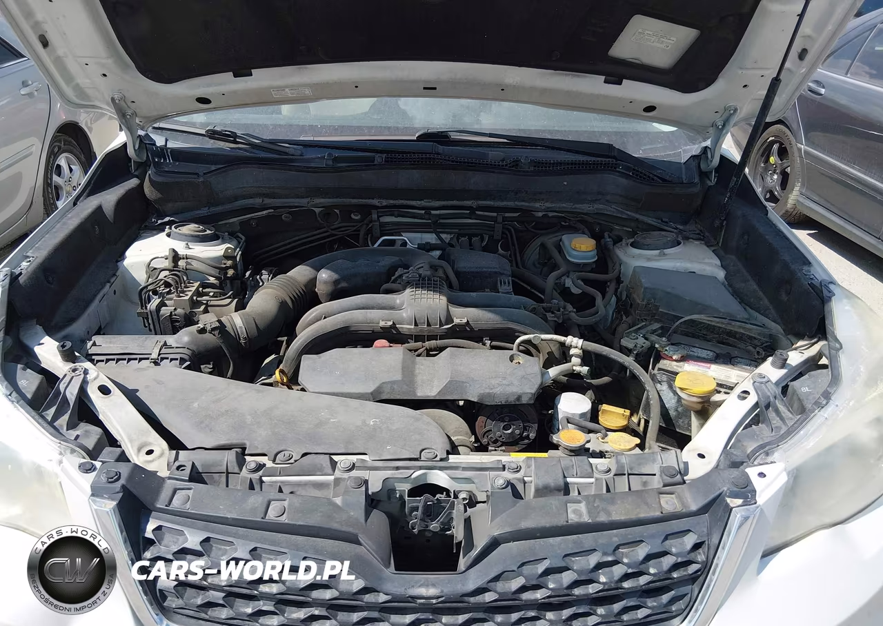 2015 Subaru Forester 2.5I Touring VIN:JF2SJAWCXFH418736 - 10