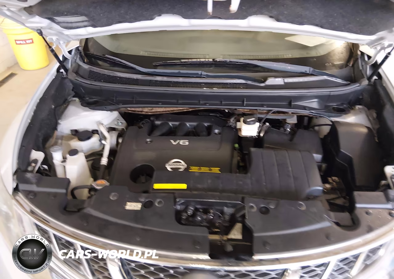2011 Nissan Murano Sl VIN:JN8AZ1MW9BW180629 - 10