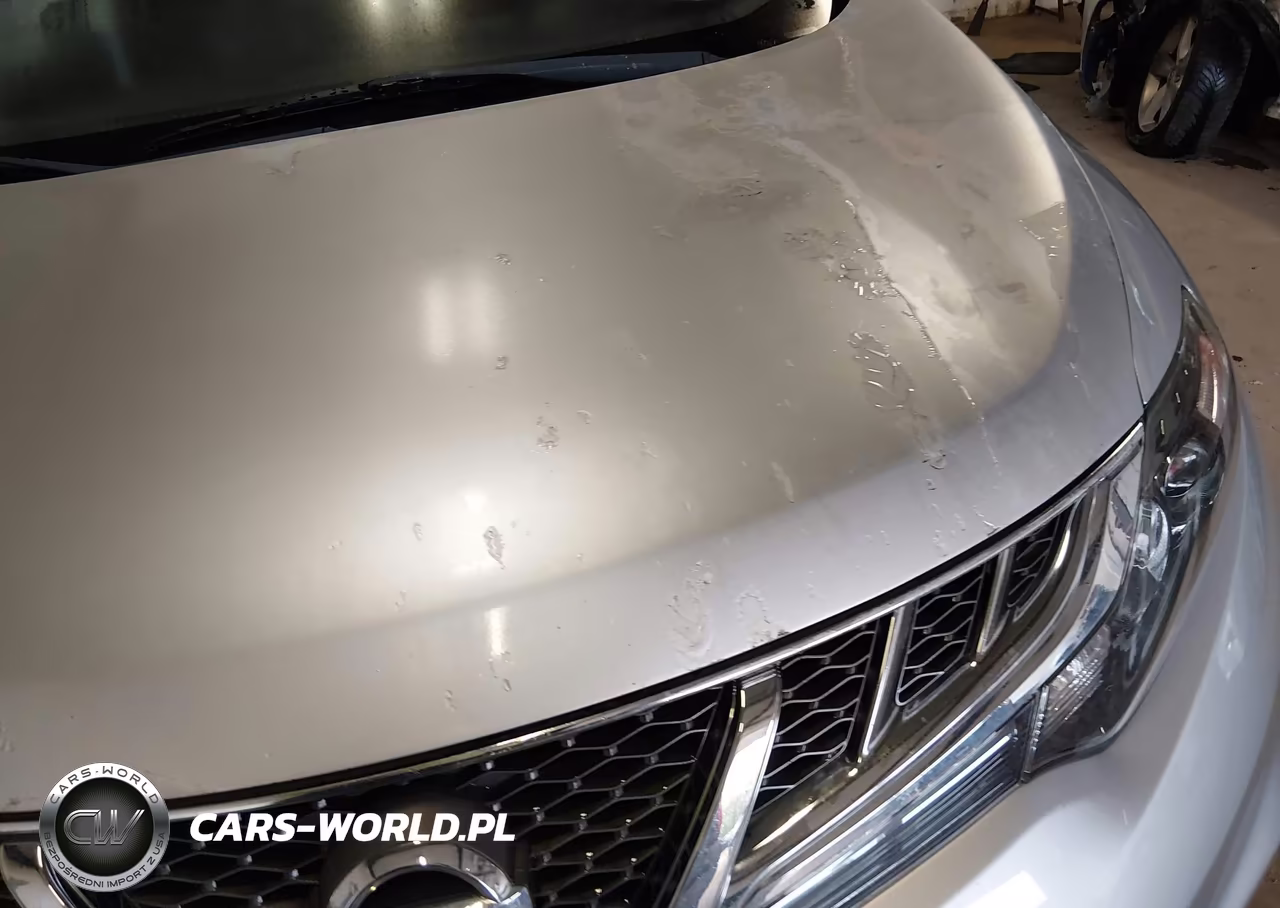 2011 Nissan Murano Sl VIN:JN8AZ1MW9BW180629 - 6