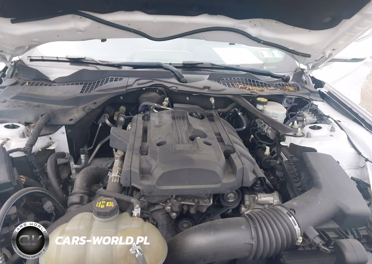 2017 Ford Mustang Ecoboost Premium VIN:1FATP8UH0H5305641 - 10