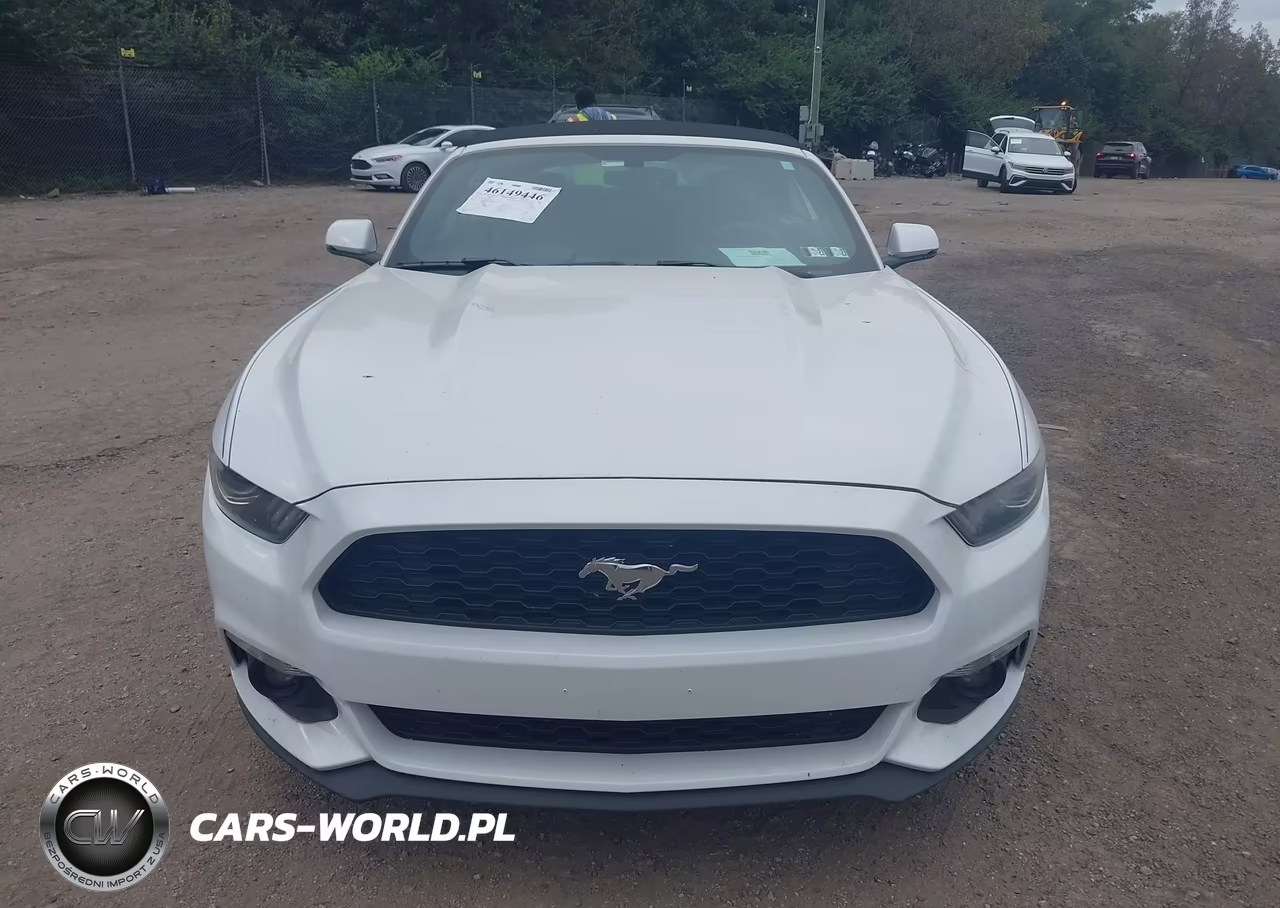 2017 Ford Mustang Ecoboost Premium VIN:1FATP8UH0H5305641 - 12