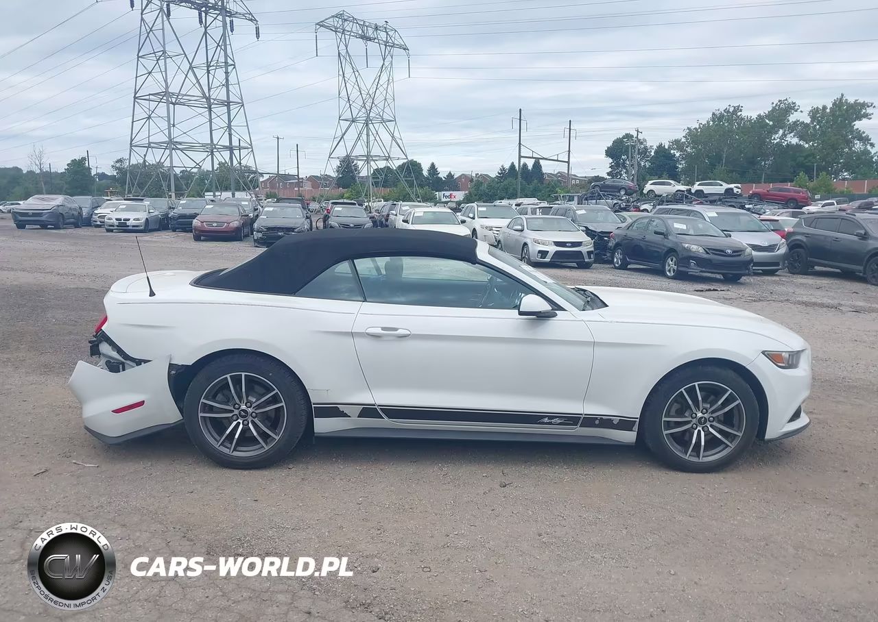 2017 Ford Mustang Ecoboost Premium VIN:1FATP8UH0H5305641 - 13