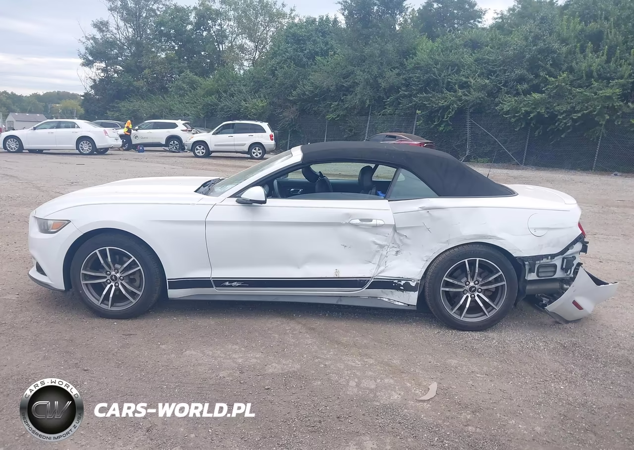 2017 Ford Mustang Ecoboost Premium VIN:1FATP8UH0H5305641 - 14