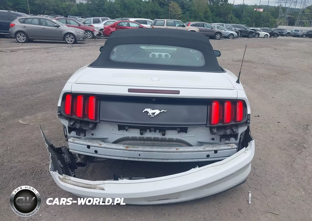 2017 Ford Mustang Ecoboost Premium VIN:1FATP8UH0H5305641 - 16