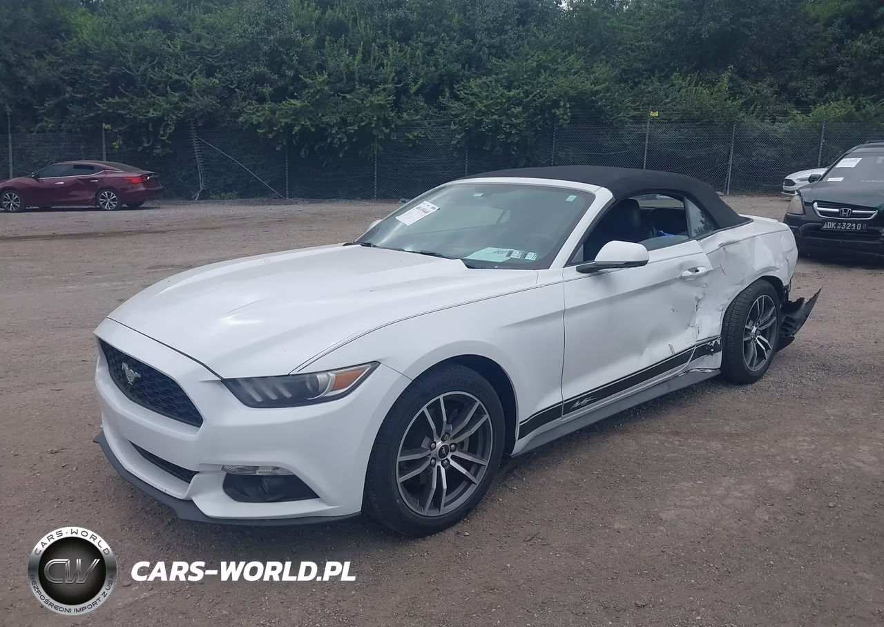 2017 Ford Mustang Ecoboost Premium VIN:1FATP8UH0H5305641 - 2