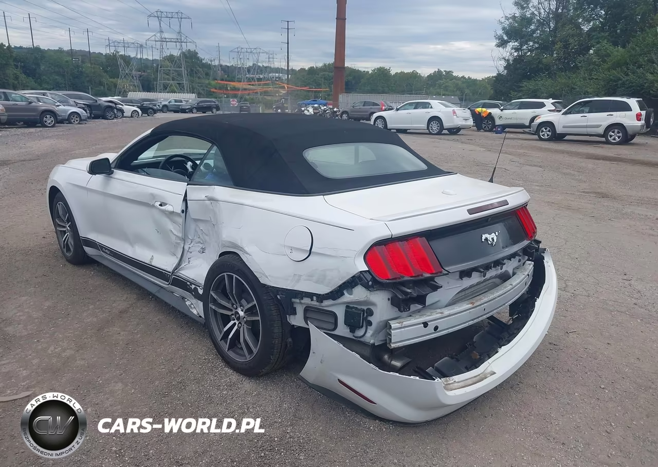 2017 Ford Mustang Ecoboost Premium VIN:1FATP8UH0H5305641 - 3