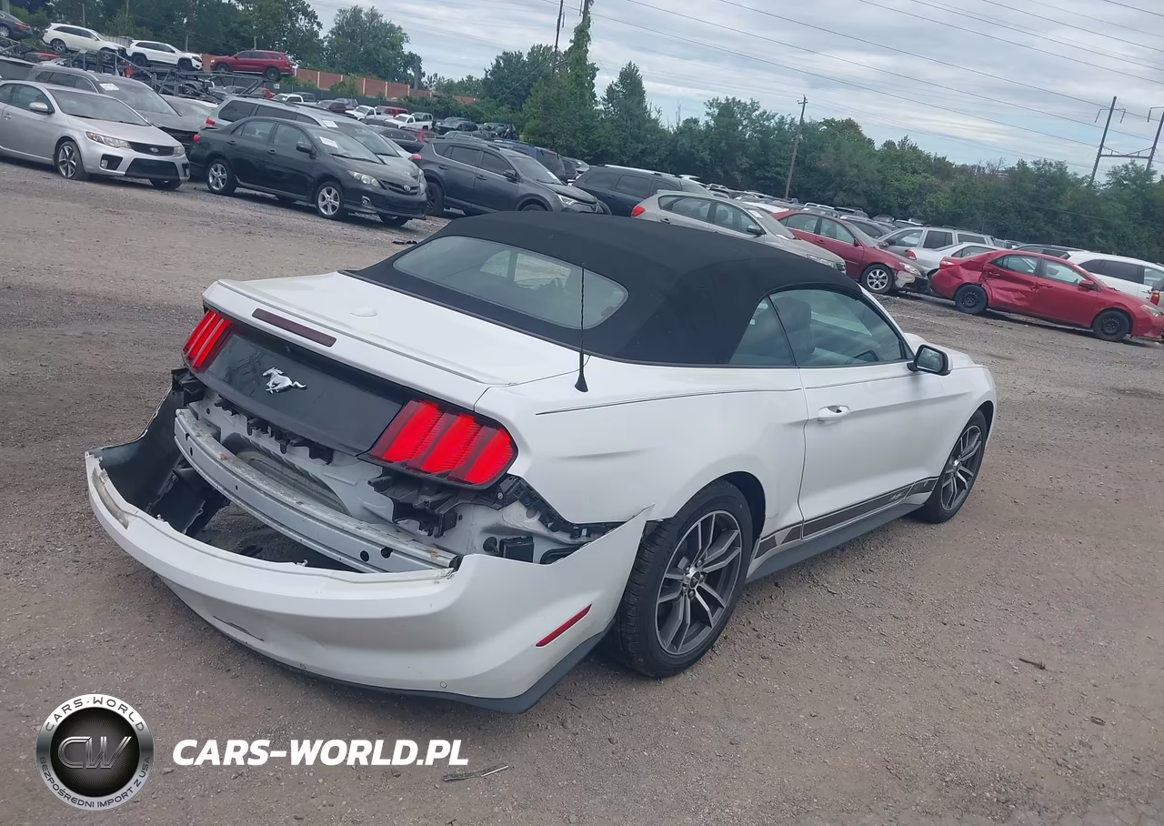2017 Ford Mustang Ecoboost Premium VIN:1FATP8UH0H5305641 - 4