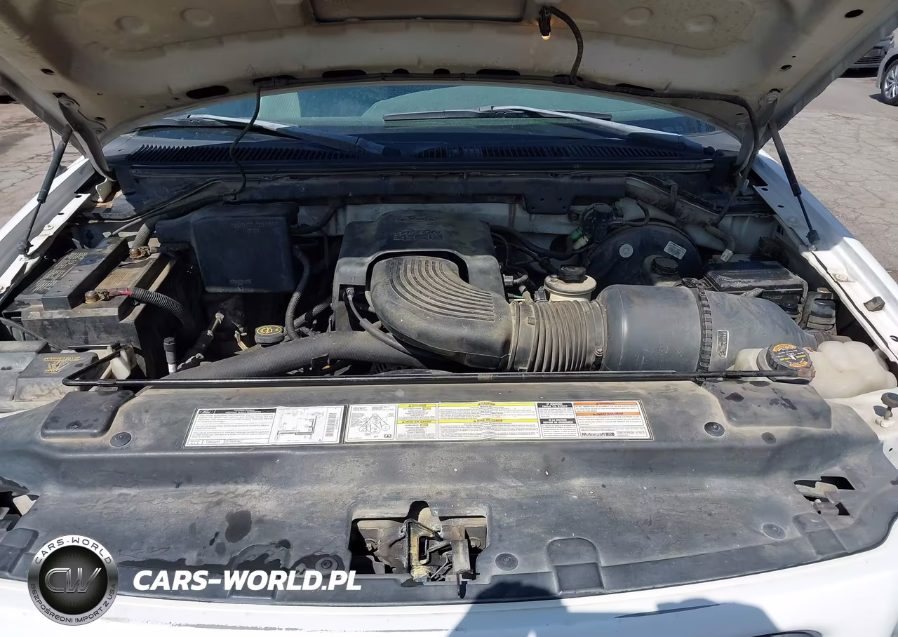 1998 Ford F-150 Lariat-Standard-Xl-Xlt VIN:1FTZX1768WNA28918 - 10