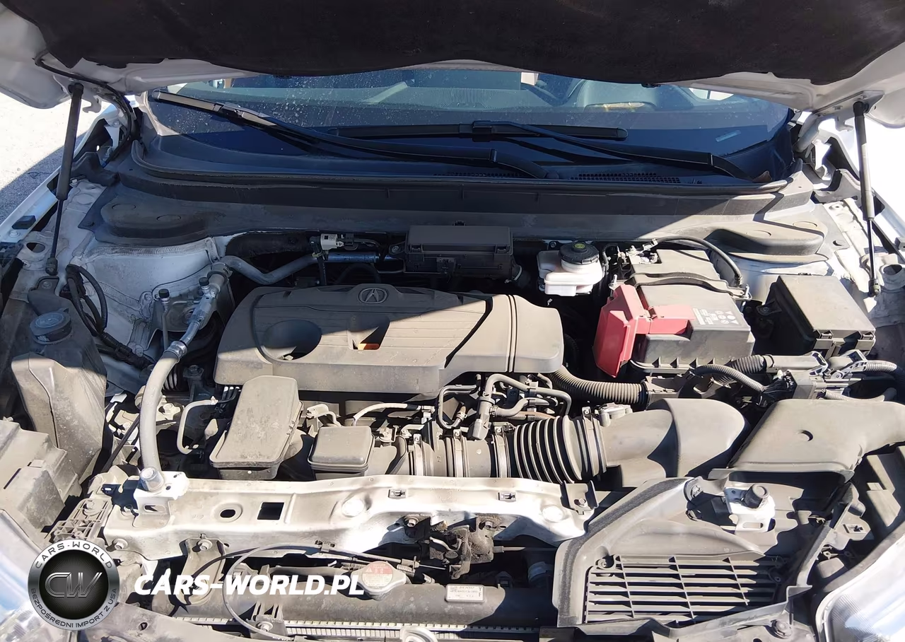 2019 Acura Rdx Advance Package VIN:5J8TC1H77KL005971 - 10