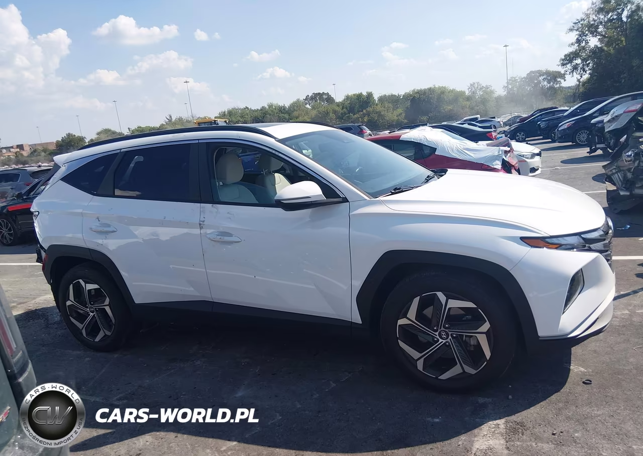 2023 Hyundai Tucson Sel VIN:5NMJF3AE0PH226662 - 13