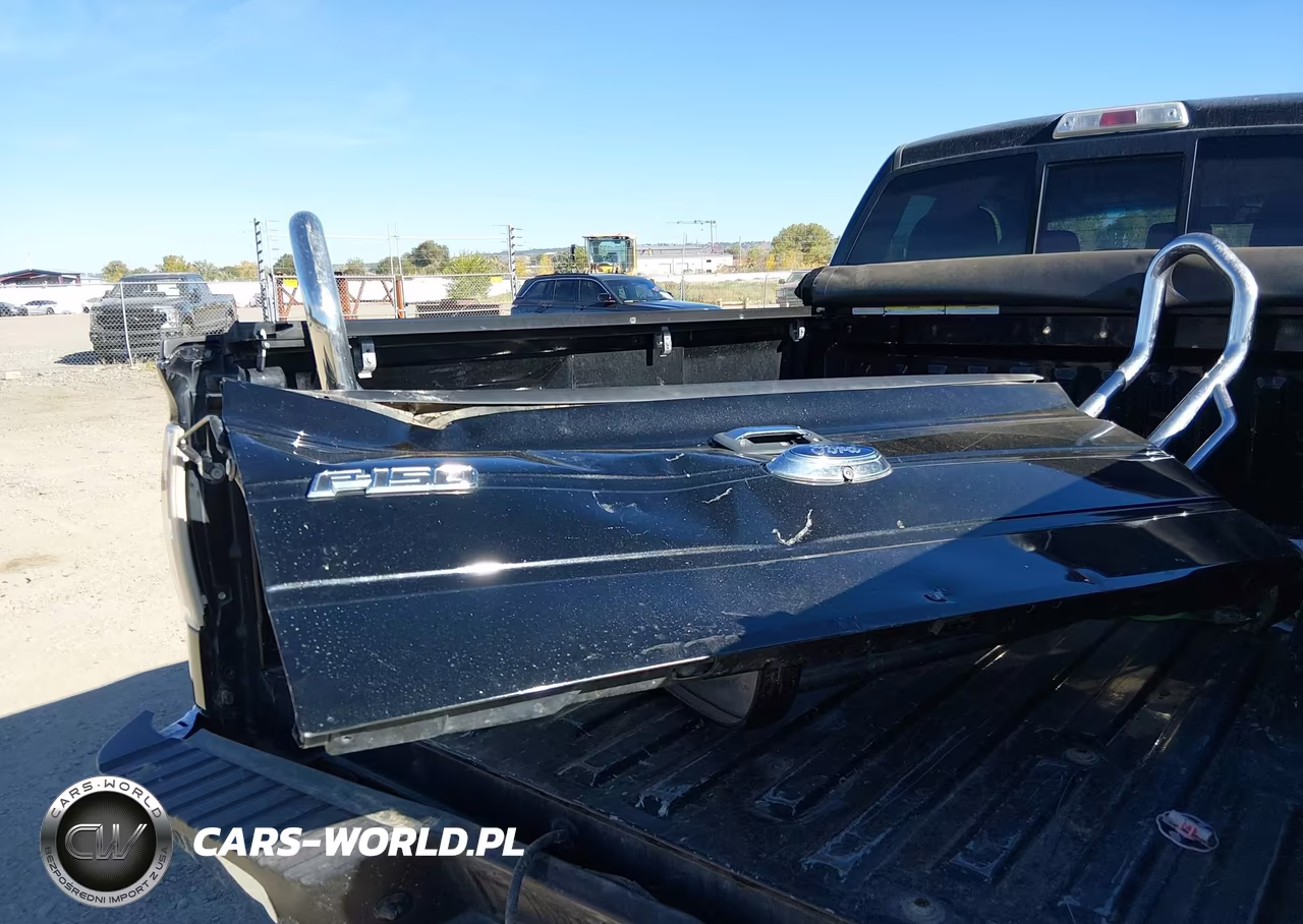 2013 Ford F-150 Xlt VIN:1FTFX1EF9DFD34426 - 12