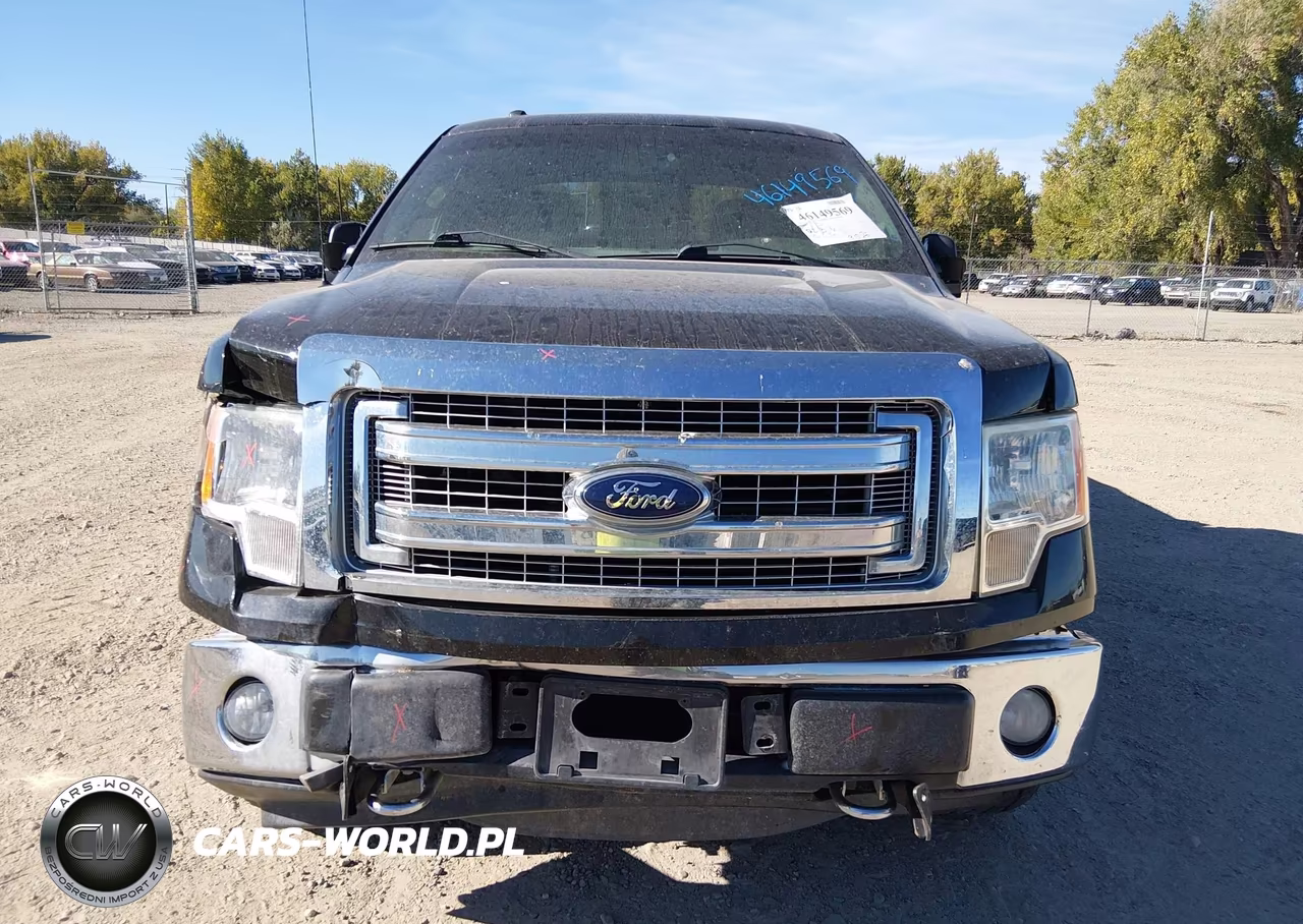 2013 Ford F-150 Xlt VIN:1FTFX1EF9DFD34426 - 13
